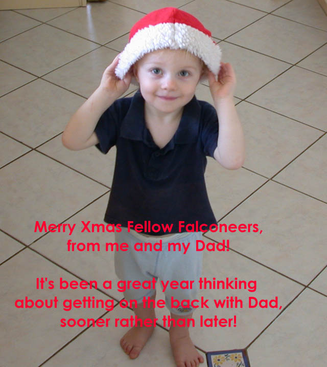 Mitch Santa Hat